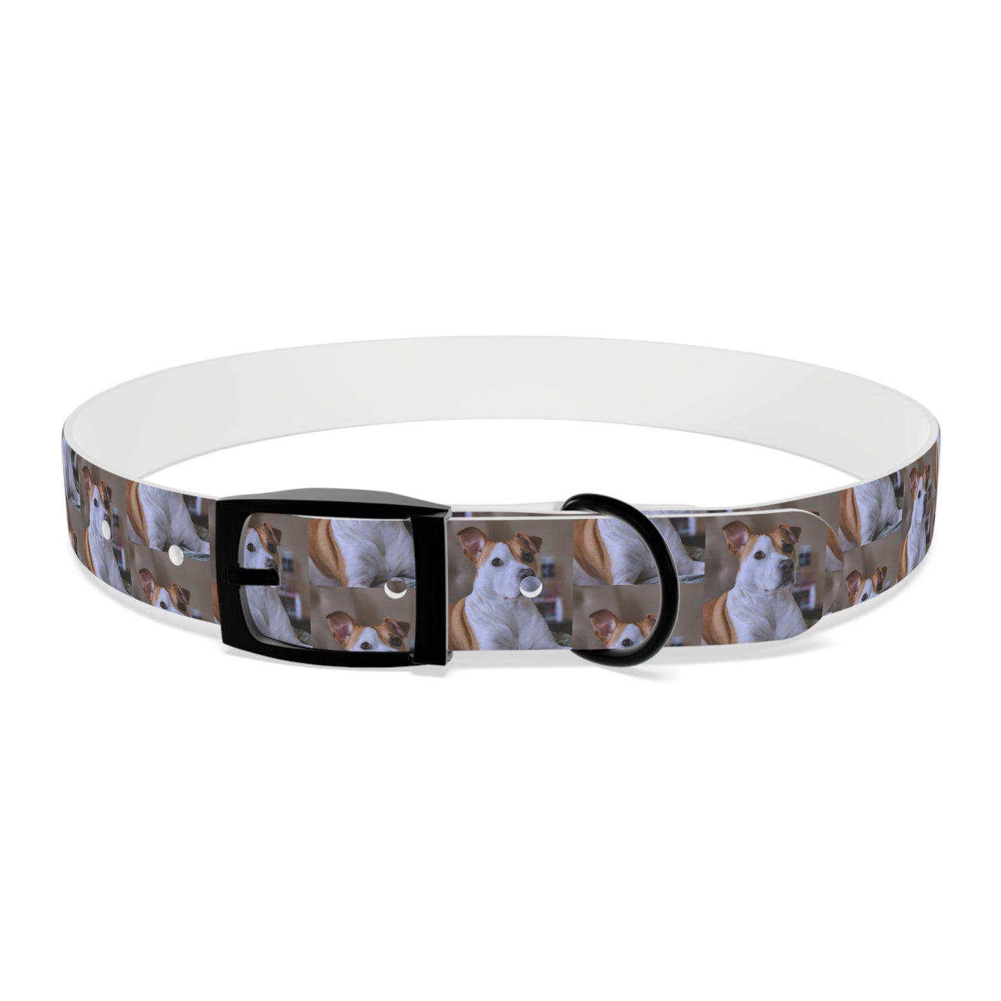 Personalized Dog Collar with Adorable Pet Design - Stylish and Durable