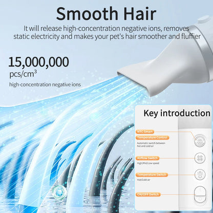 BichouShop – 2-in-1 Haustier-Haartrockner & Bürste für Hunde und Katzen