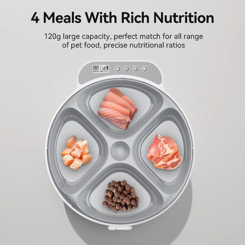 BichouShop – Automatischer Futterspender für Katzen (mit LCD-Anzeige)