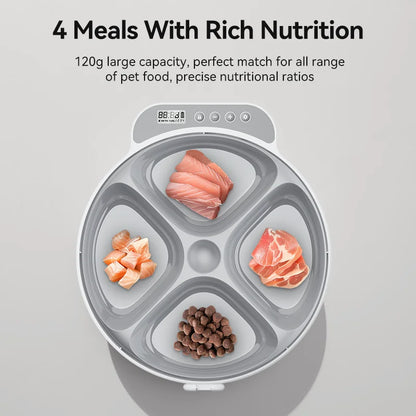 BichouShop – Automatischer Futterspender für Katzen (mit LCD-Anzeige)