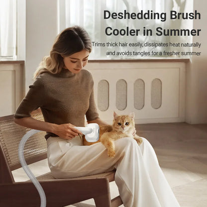 BichouShop – Professioneller Haustier-Fön mit 3 Geschwindigkeitsstufen