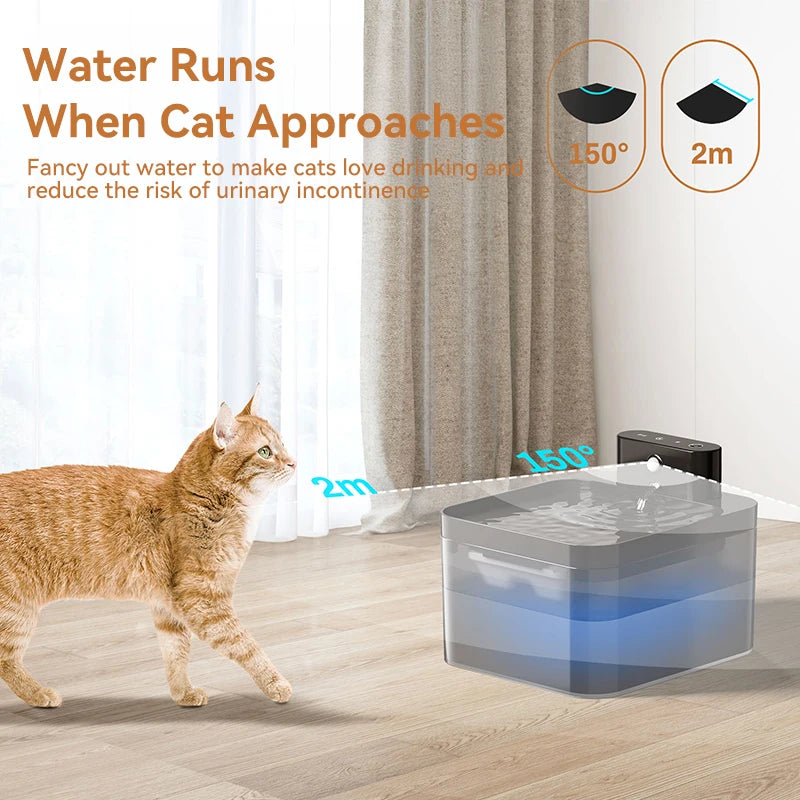 BichouShop – Automatischer Katzen-Futterspender mit Wasserspender