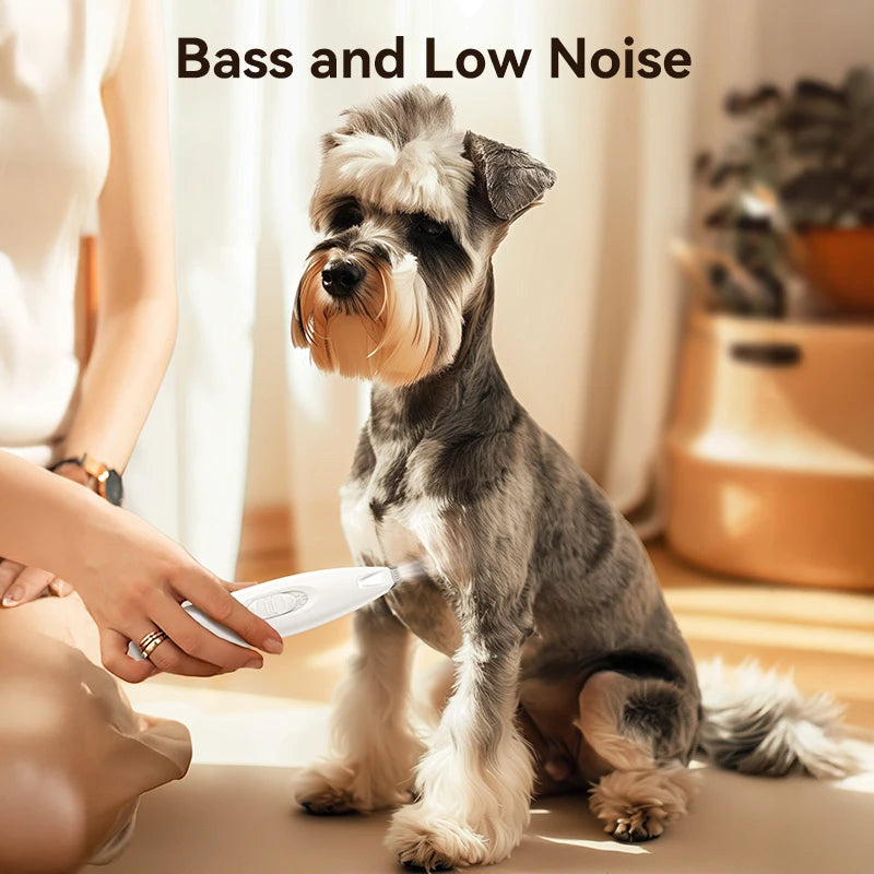 BichouShop T50 – Der smarte Tierhaarschneider mit LED-Licht