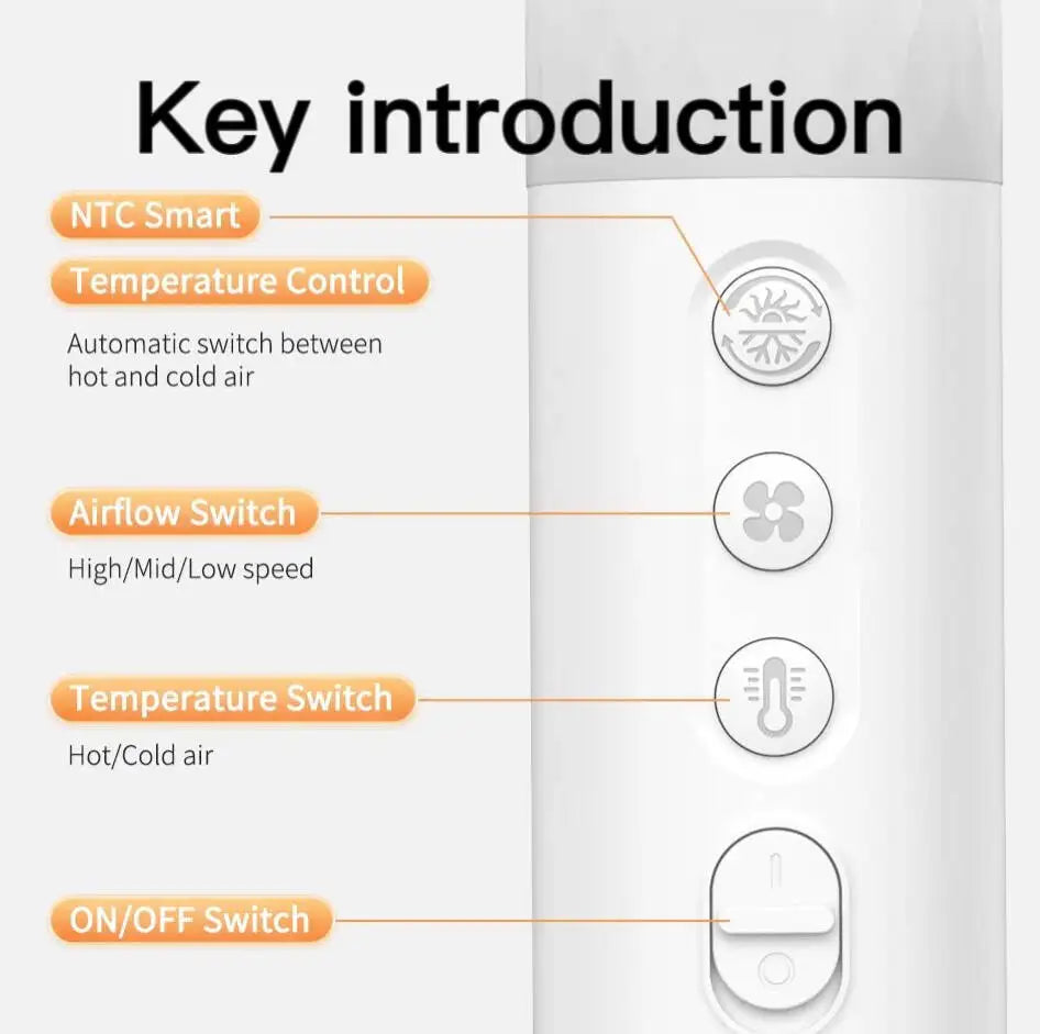 BichouShop – 2-in-1 Haustier-Haartrockner & Bürste für Hunde und Katzen