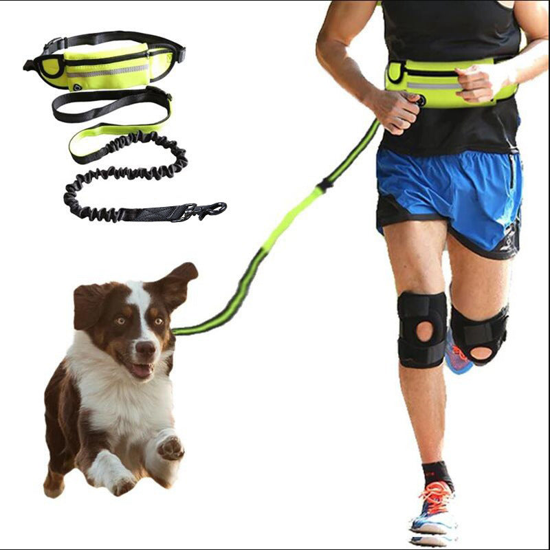 Bichoushop freihändige Hundeleine mit neongelbem Bauchgurt, elastischer Bungee-Leine und reflektierenden Details.