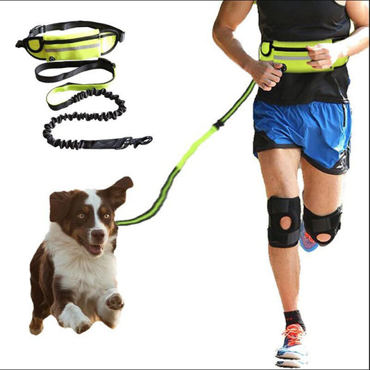Bichoushop freihändige Hundeleine mit neongelbem Bauchgurt, elastischer Bungee-Leine und reflektierenden Details.