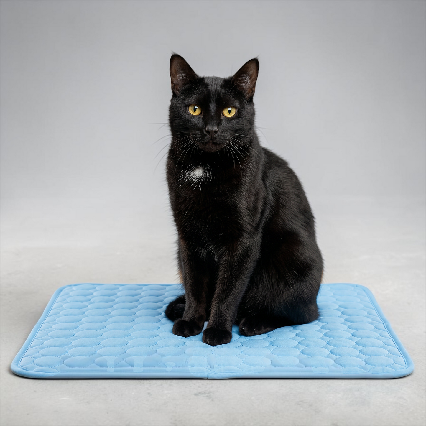 Bichoushop® – Premium Kühlkissen für Hunde & Katzen