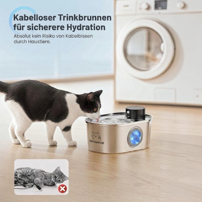 Premium Edelstahl Trinkbrunnen für Katzen & Hunde – 3,2L